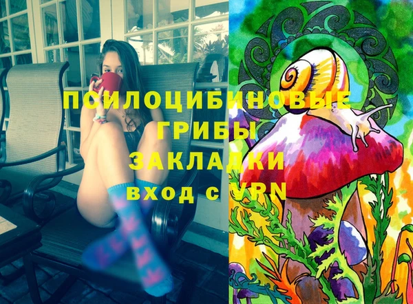 мет Няндома