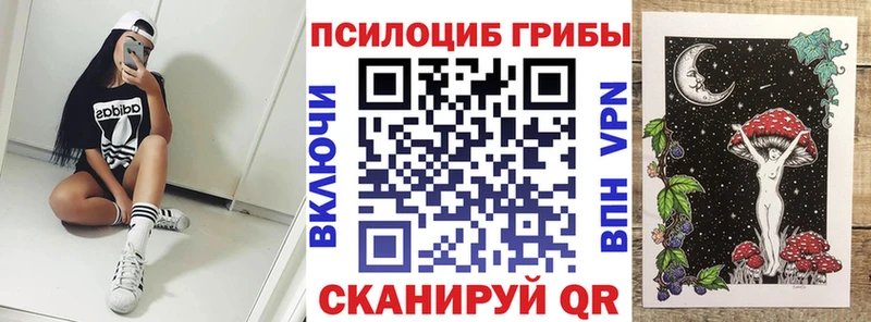 Псилоцибиновые грибы Magic Shrooms  хочу наркоту  Томмот 